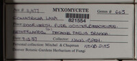 Image Associated With the Occurence